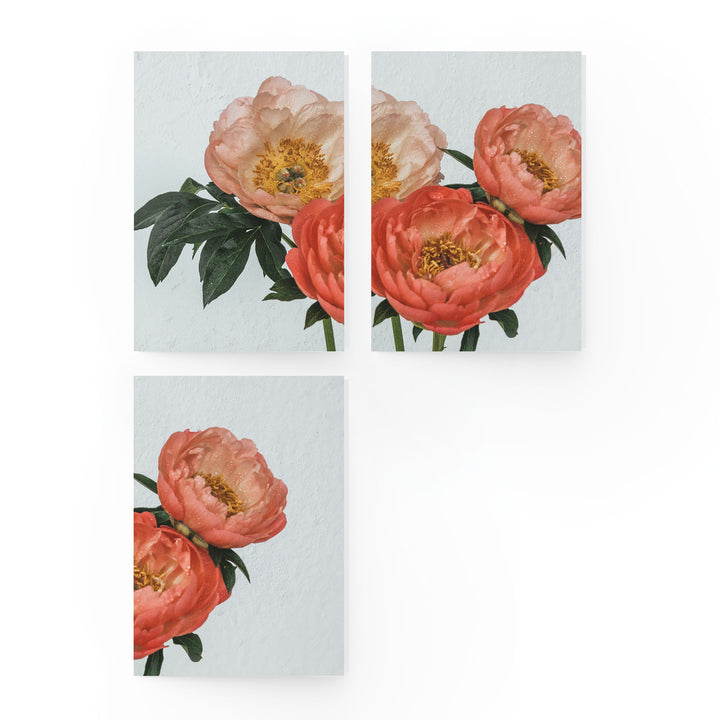 Floral Boxed Card Set