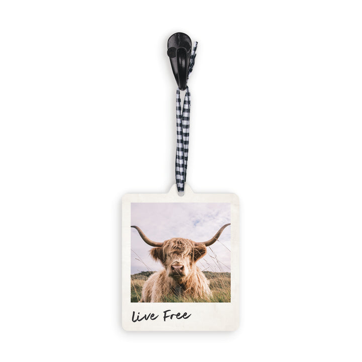 Live Free Hanging Décor
