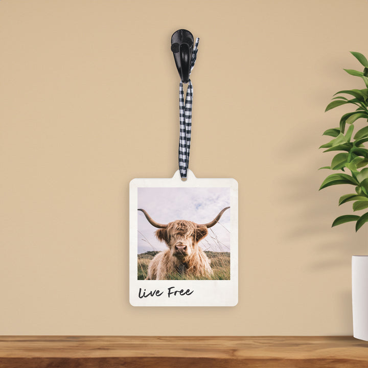Live Free Hanging Décor