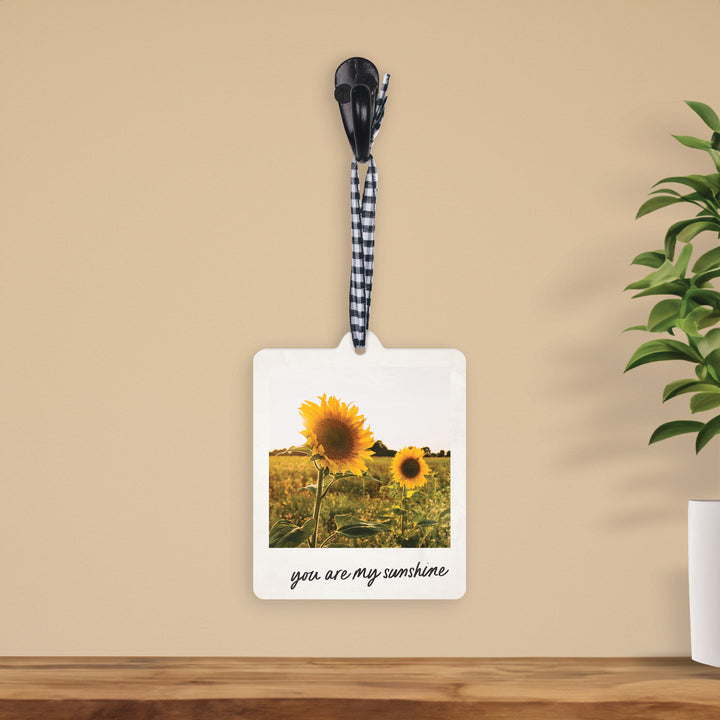 You Are My Sunshine Hanging Décor