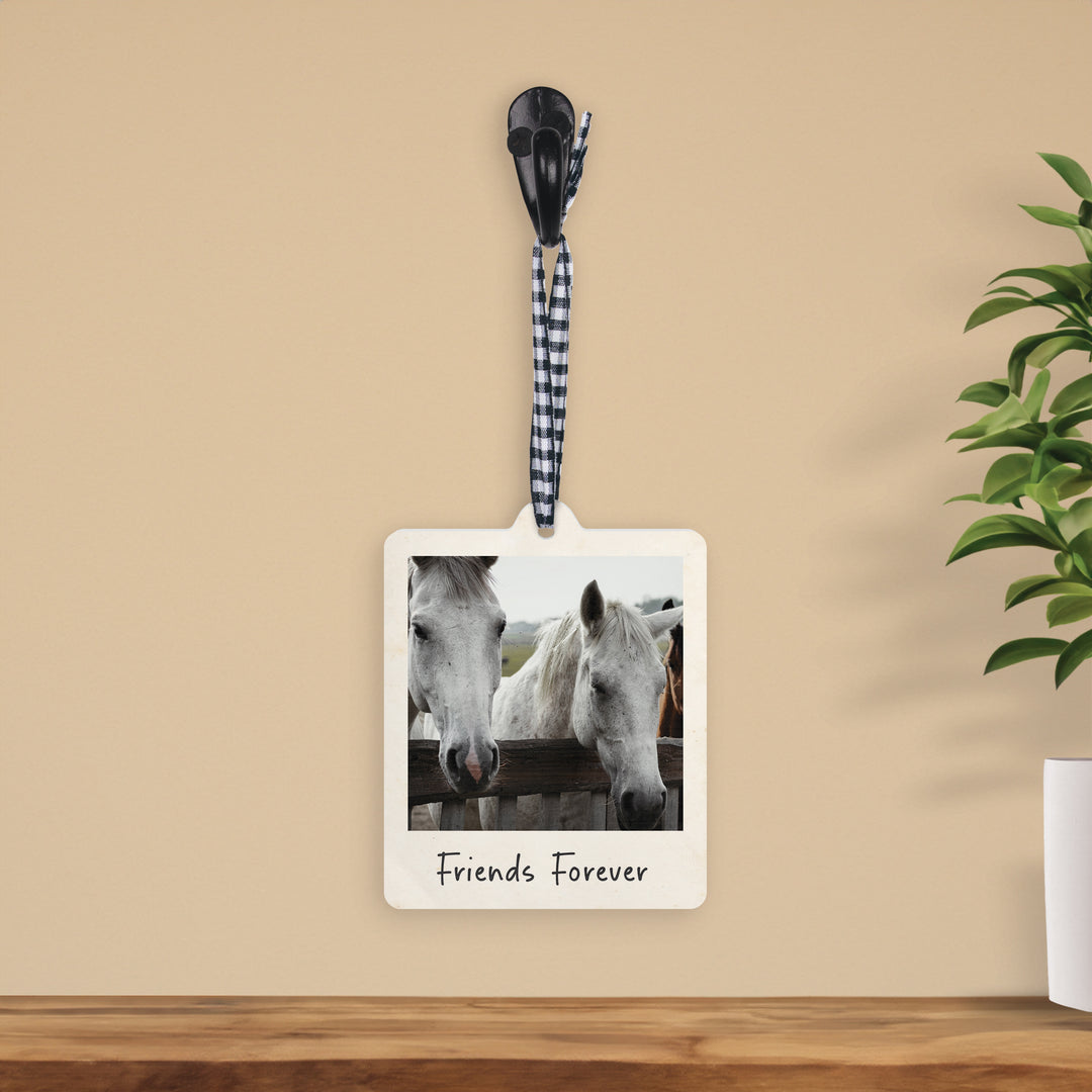 Friends Forever Hanging Décor