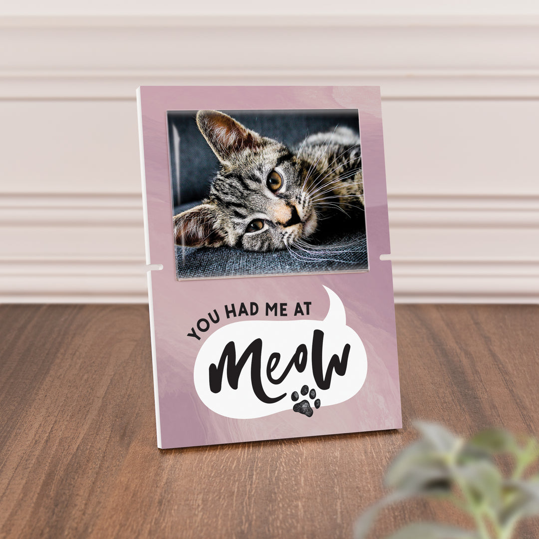 You Had Me At Meow Story Board