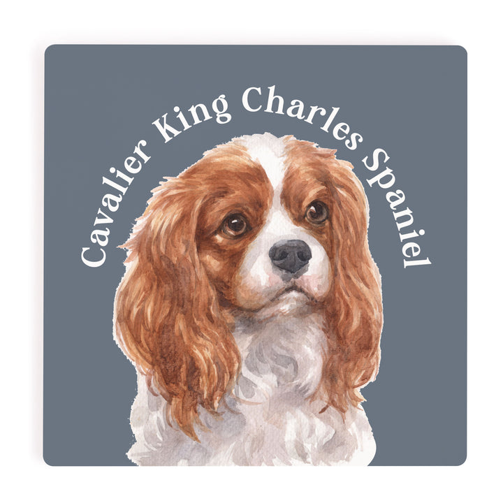 Cavalier King Charles Spaniel Coaster