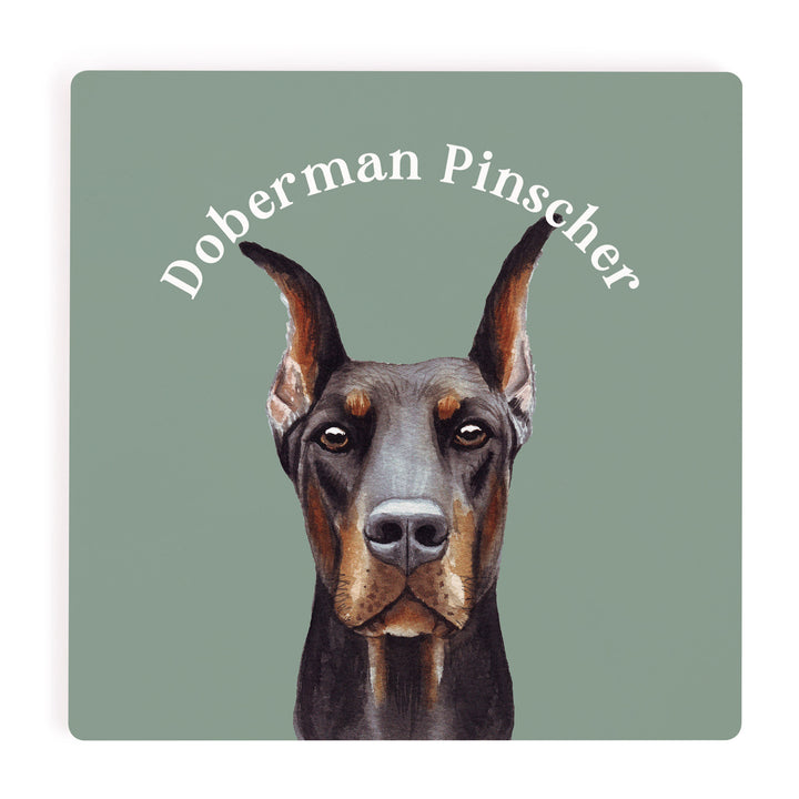 Doberman Pinscher Coaster
