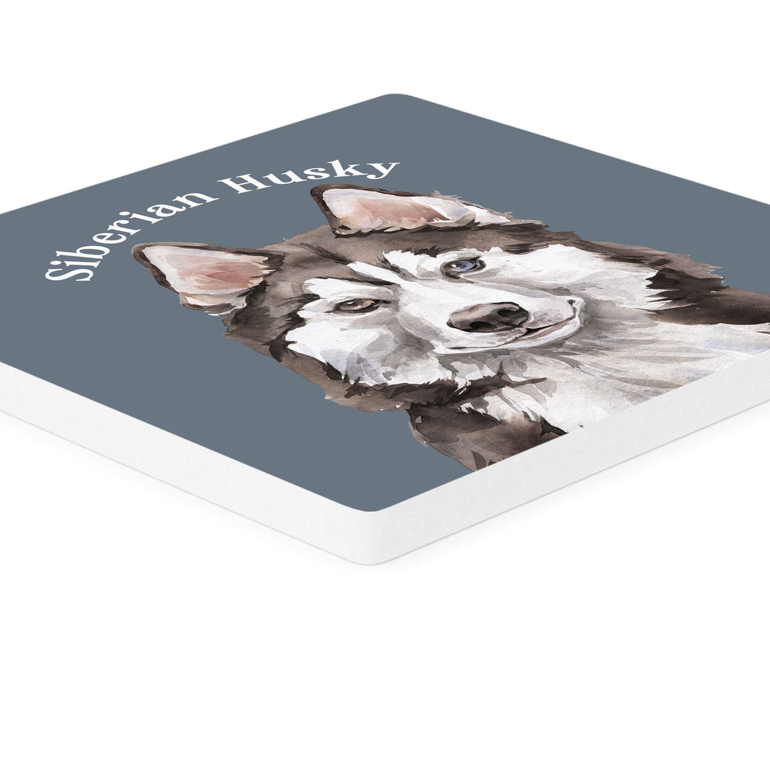 Siberian Husky Coaster