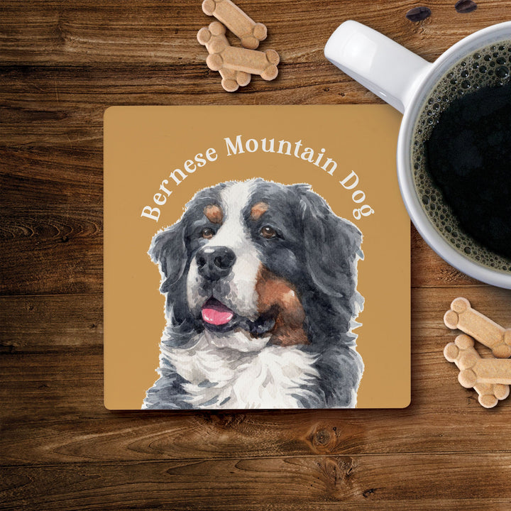 Bernese Mountain Dog Coaster