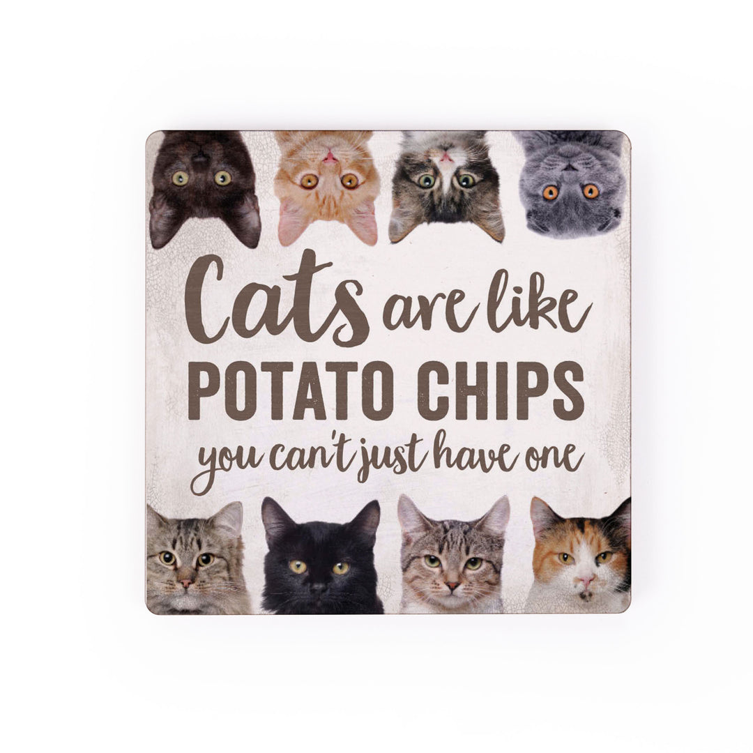Cats Are Like Potato Chips You Can't Just Have One Magnet