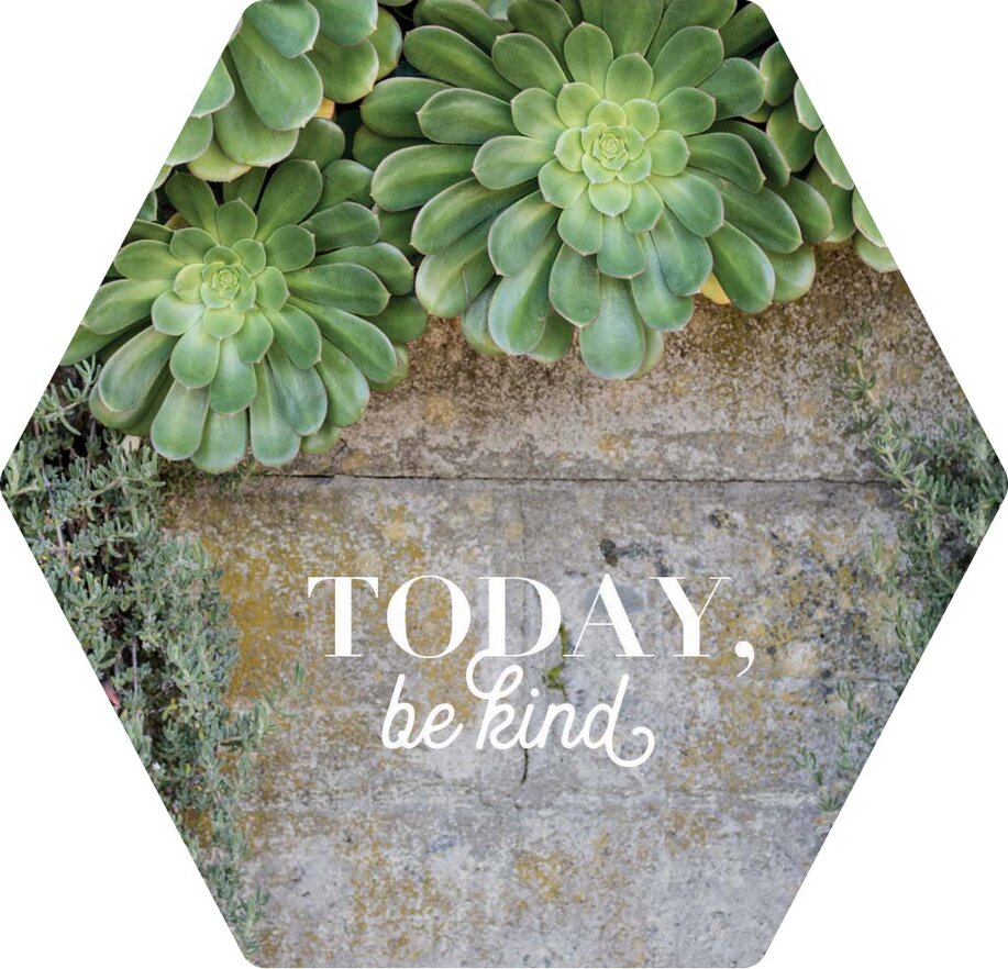 Today Be Kind AbiArt Magnet