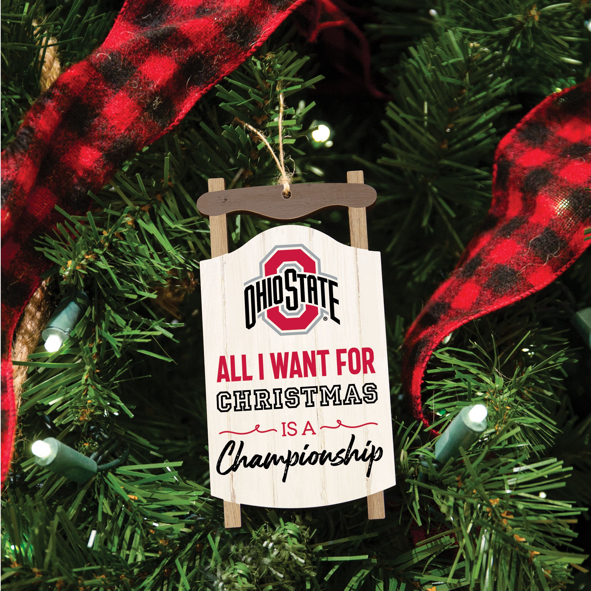 All I Want for Christmas is a Championship - The Ohio State University Sled Ornament
