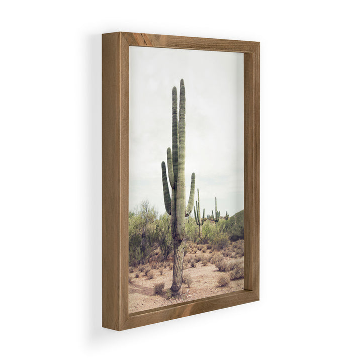 Cactus Framed Art