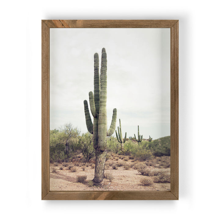 Cactus Framed Art